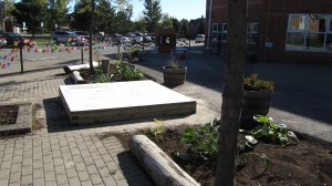 Our Sandbox  (Made by Martin) Plants donated and planted by families